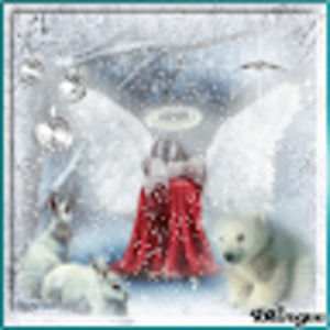 Meet your Posher, Angel